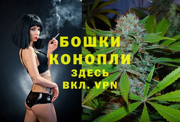 дмт Аркадак