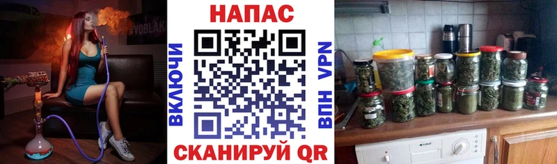 Шишки марихуана сатива  Сокол 